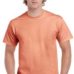 Men's Promotional T Shirts - Gildan Hammer™ TShirt