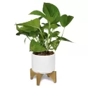 branded Planter with Bamboo Base, from our range of promotional Homeware Products