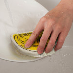 branded Expandable Sponge, from our range of promotional Homeware Products