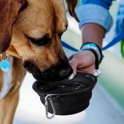 branded Silicone Collapsible Pet Bowl, from our range of promotional Pet Accessories