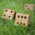 branded Wooden Yard Dice Game, from our range of promotional Toys, Games &amp; Novelties