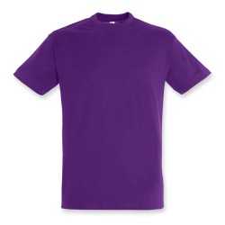 branded SOLS Regent Adult T-Shirt, from our range of promotional Men's Promotional T Shirts