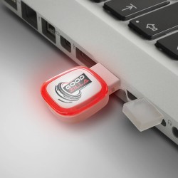 Flash Drives - Zodiac 4GB Flash Drive