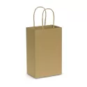branded Paper Carry Bag - Small, from our range of promotional Paper Bags
