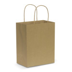 Paper Bags  - Paper Carry Bag - Medium