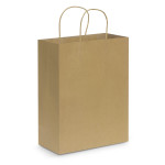 Paper Bags  - Paper Carry Bag - Large