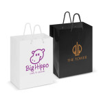 Paper Bags  - Laminated Carry Bag - Medium
