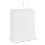 Paper Bags  - Laminated Carry Bag - Large