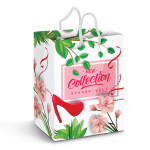 Paper Bags  - Large Laminated Paper Carry Bag - Full Colour