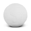 branded Netball Pro, from our range of promotional Sport Balls