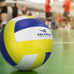 branded Volleyball Pro, from our range of promotional Sport Balls