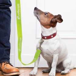 branded Trek Dog Leash, from our range of promotional Pet Accessories