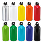 Drink Bottles - Metal - Intrepid Bottle - 600ml
