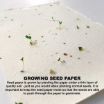 Printed Post It Notes  - Daisy Seed Sticky Note Pad