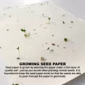 branded Daisy Seed Sticky Note Pad, from our range of promotional Printed Post It Notes