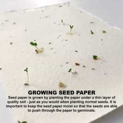 branded Daisy Seed Sticky Note Pad, from our range of promotional Printed Post It Notes
