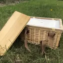 branded Gold Coast Wicker Picnic Cooler Basket(square), from our range of promotional Picnic Sets