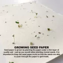 branded Corn Poppy Seed Sticky Note Pad, from our range of promotional Printed Post It Notes