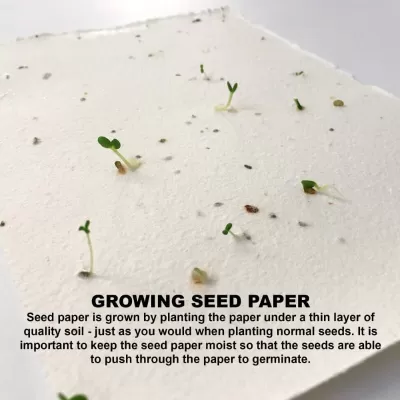 branded Corn Poppy Seed Sticky Note Pad, from our range of promotional Printed Post It Notes