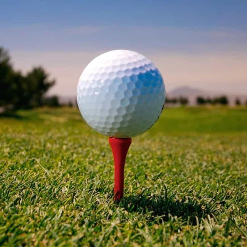 branded Golf Tee, from our range of promotional Corporate Golf Accessories