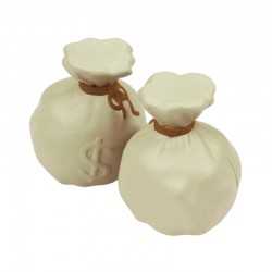 Stress Shapes - Stress Money Bag