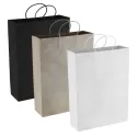 branded Paper Kraft Shopping Bag, from our range of promotional Paper Bags