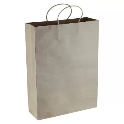 branded Paper Kraft Shopping Bag, from our range of promotional Paper Bags