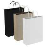 Paper Bags  - Paper Trade Show Bag