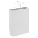 branded Paper Trade Show Bag, from our range of promotional Paper Bags