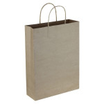 Paper Bags  - Paper Trade Show Bag