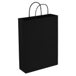 Paper Bags  - Paper Trade Show Bag