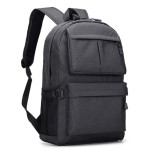 Laptop Bags &amp; Computer Backpacks  - Venterna Laptop Backpack