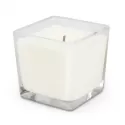 branded Ambient Scented Candle, from our range of promotional Candles