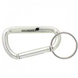 Metal Keyrings - 60mm Carabiner