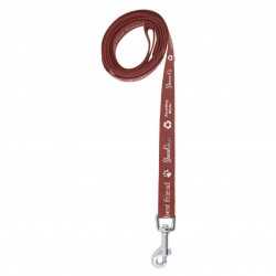 branded 1.4M Dog Leash 19mm, from our range of promotional Pet Accessories