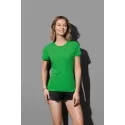branded Stedman Womens Classic T, from our range of promotional Ladies Promotional T Shirts