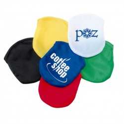 branded Flexi Flyer, INDENT, from our range of promotional Flyers