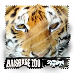 Phone Accessories - Zig Zag Economy Microfibre Lens Cloth