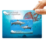 branded Credit Card Flash Drive, from our range of promotional Credit Card Style USB Flash Drives