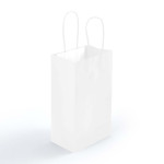 Paper Bags  - Express Paper Bag Small