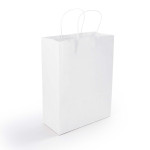 Paper Bags  - Express Paper Bag Medium