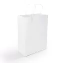 branded Express Paper Bag Medium, from our range of promotional Paper Bags