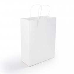Paper Bags - Express Paper Bag Medium