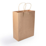 Paper Bags  - Express Paper Bag Medium
