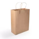 branded Express Paper Bag Medium, from our range of promotional Paper Bags
