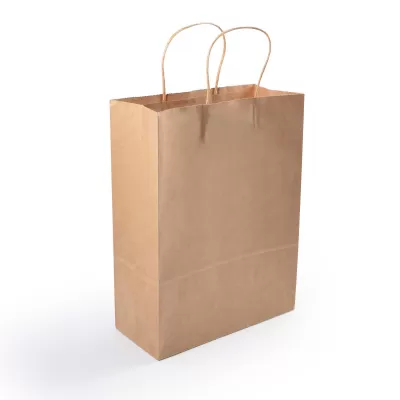 branded Express Paper Bag Medium, from our range of promotional Paper Bags