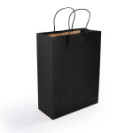 Paper Bags  - Express Paper Bag Medium