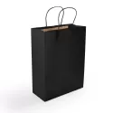 branded Express Paper Bag Medium, from our range of promotional Paper Bags