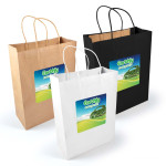 Paper Bags  - Express Paper Bag Large