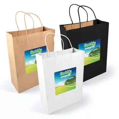 branded Express Paper Bag Large, from our range of promotional Paper Bags